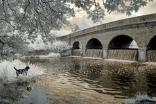 Nikon D90 Full Spectrum