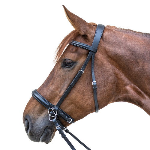 Star bitless bridle - star,