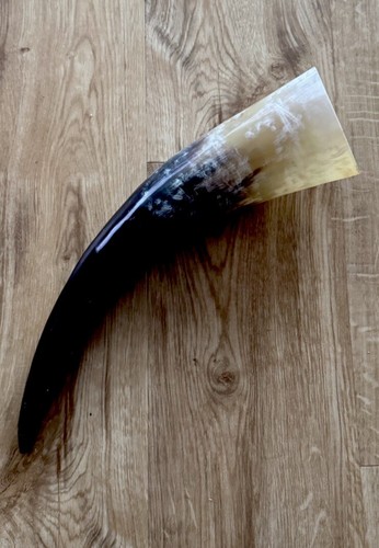 Natural cow horn drinking - cow,