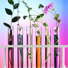 20 Pcs Glass Test Tubes With