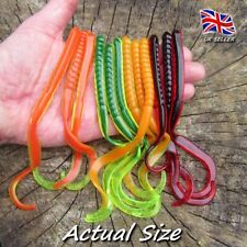 Perch Pike Trout Salmon Power