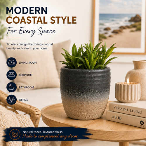 Clay plant pot medium - plant,