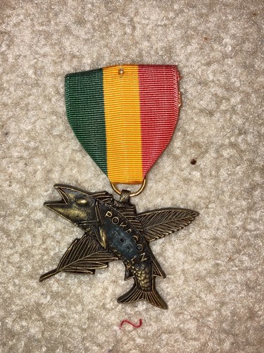 Boy scout bsa - boy, indiana