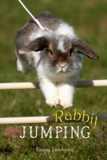 Rabbit Jumping: How to teach