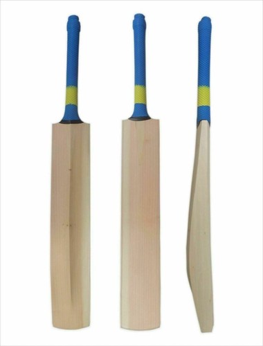 English willow cricket - english, bat