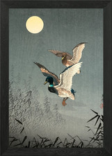 Ducks Flying Under the Moon