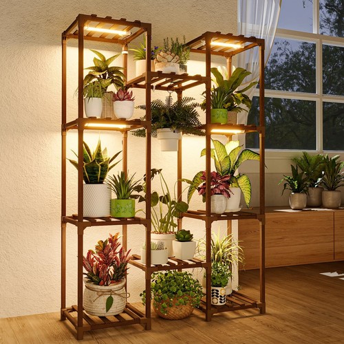 Large plant stand with - plant, grow