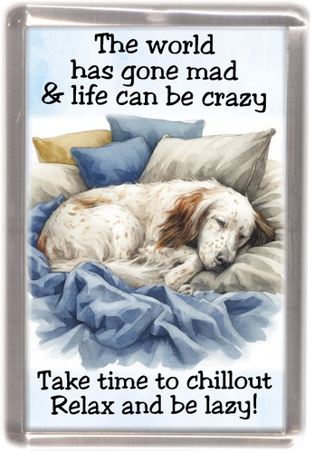 English setter dog - dog, fridge