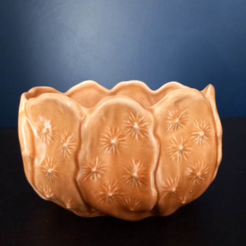 Sylvac beige cactus vase - sylvac, plant