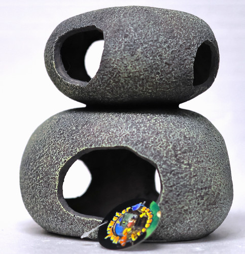 Underwater treasures cichlid - treasures,