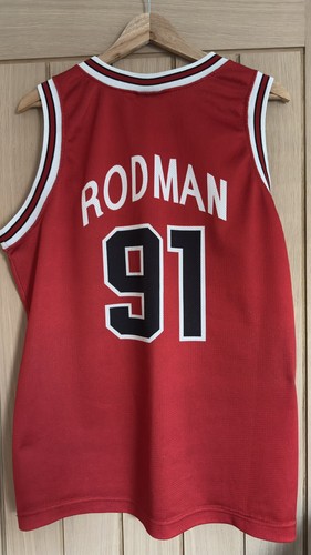 Chicago bulls dennis - bulls,