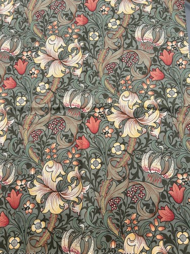Sanderson golden lily minor - sanderson,
