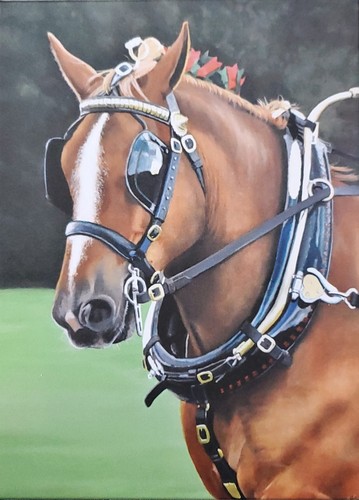 Suffolk punch horse canvas - suffolk,
