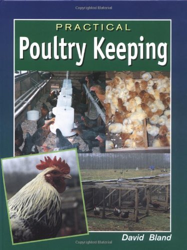 Practical poultry keeping - practical,