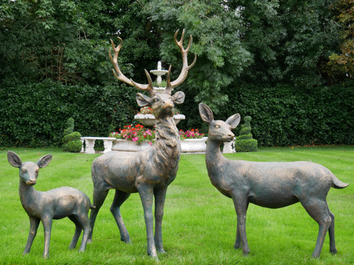 Majestic stag family garden - majestic,