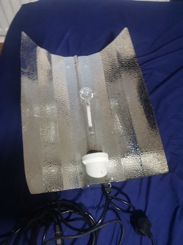 400w bulb plus generator - plus,