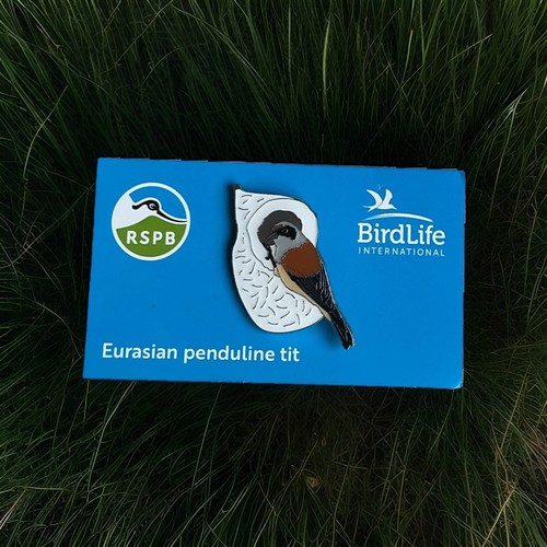 Rspb pin badge new penduline - *new,