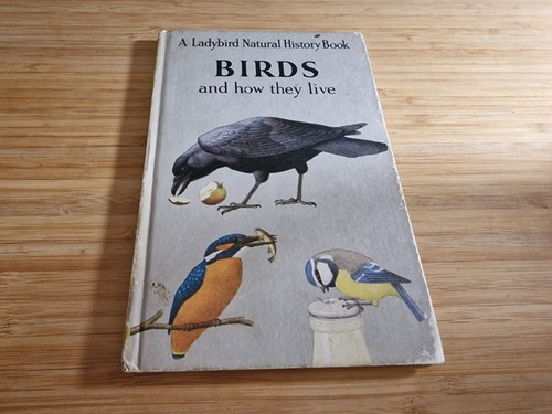 Birds and how they - and, 1966