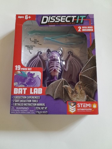 Dissect bat lab - it,