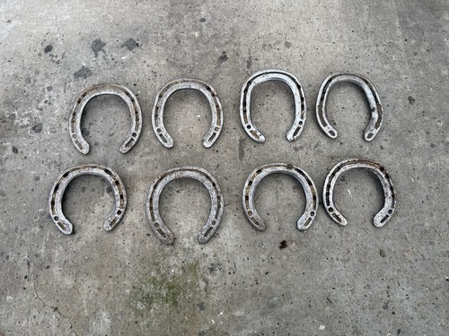 Old used horseshoes - 40,