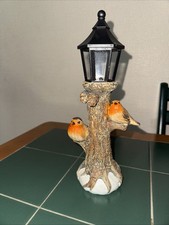 Couple of Robin’s Outdoor