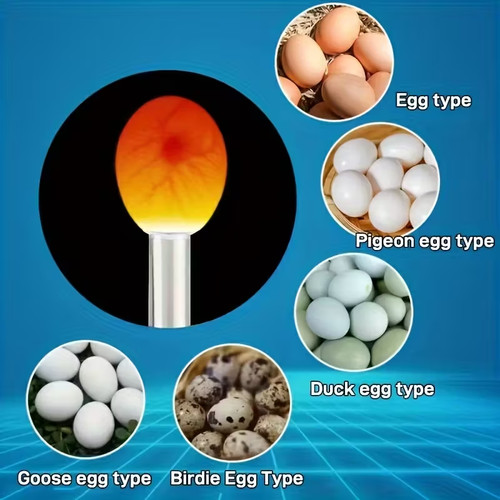 Pigeon egg candler led - pigeon,