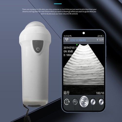 Wireless veterinary ultrasound - veterinary,