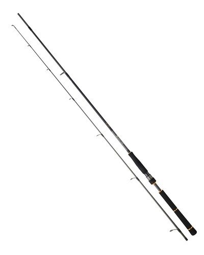 Daiwa seabass rod sea - bg,