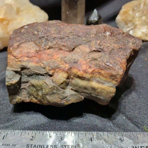 Petrified wood multicolored - petrified,