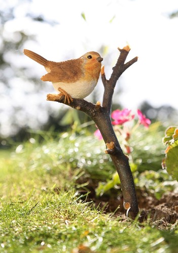Robin twig garden bird - twig,