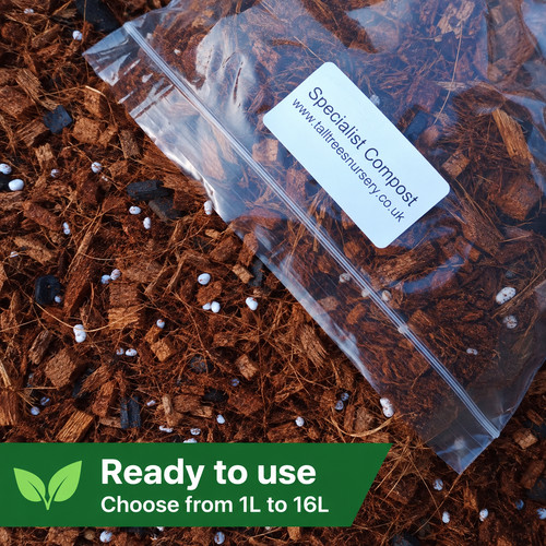 Ready use orchid potting - ready, to