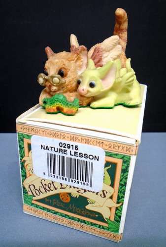 Pocket dragons nature - pocket,