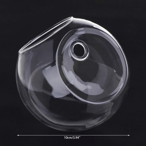 Wall glass flower - wall,