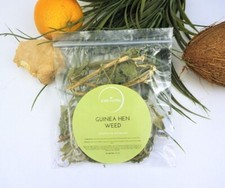 Guinea Hen Weed Bush Tea Anamu