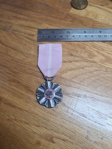 The polish medal for - polish,