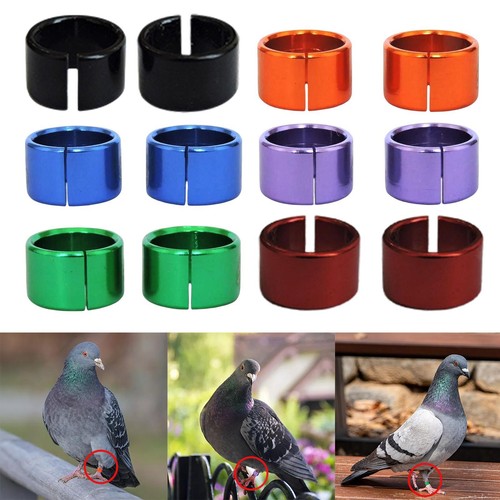 Pieces racing pigeon leg - 12,
