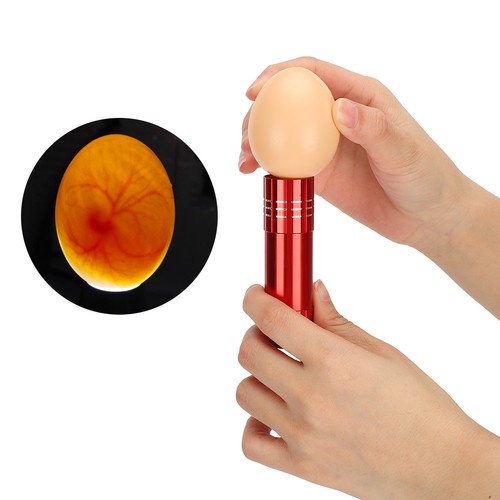 Egg candling lamp - candling,