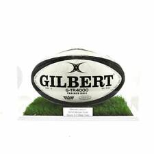 Rugby Ball Landscape Display