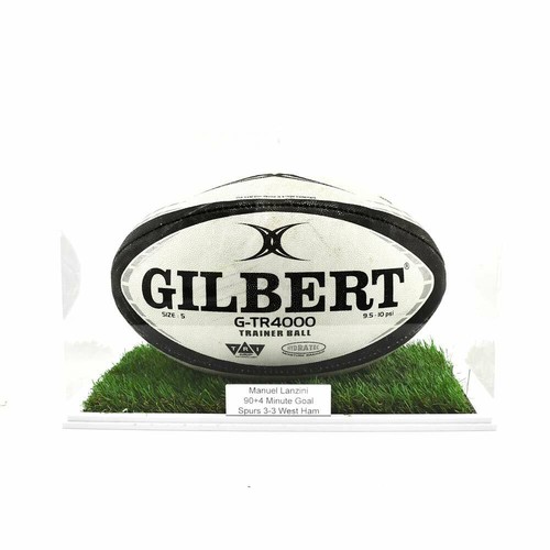 Rugby ball landscape display - ball,