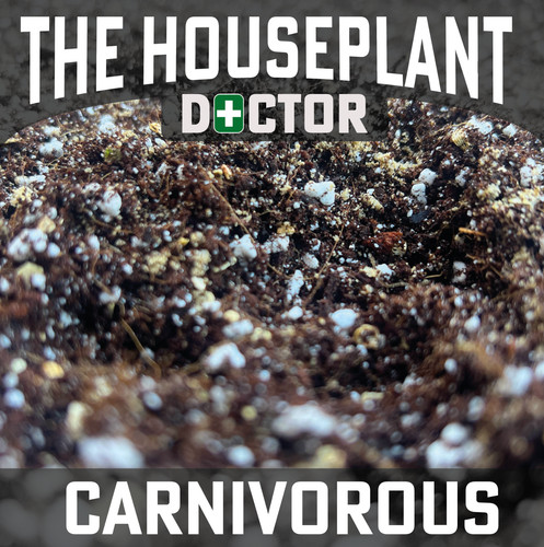 Carnivorous repotting soil mix - carnivorous,