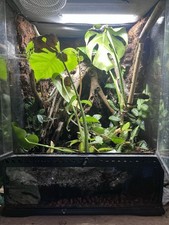 Bioactive Exo Terra 45 X 45 X