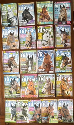 Your horse magazines - horse,