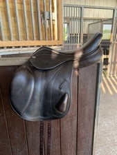 Harry Dabbs Platinum Italiano