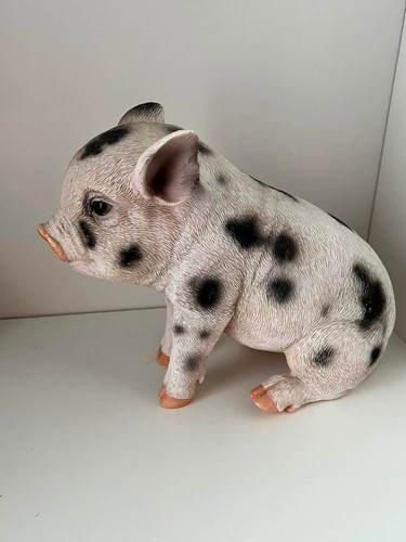 Vivid arts pig micro - arts,