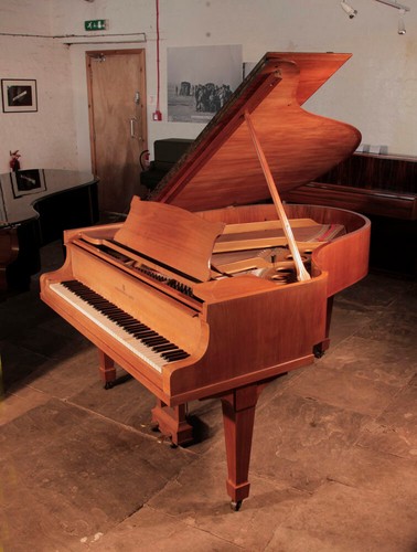 Steinway model grand - model, o