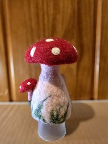 Handmade felted mushroom egg - felted,