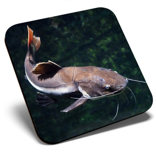 Square single coaster - single,