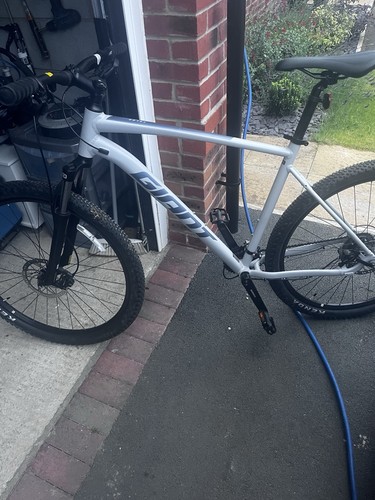 Giant talon 29in - talon,