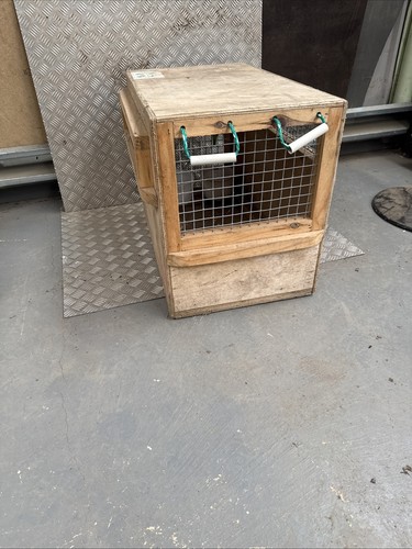 Animal catch box - catch,
