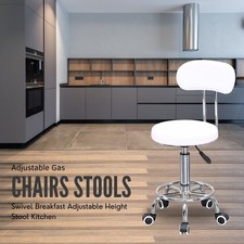 Swivel Salon Stool with